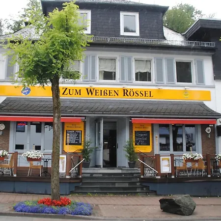 Roth 3* Willingen (Upland)